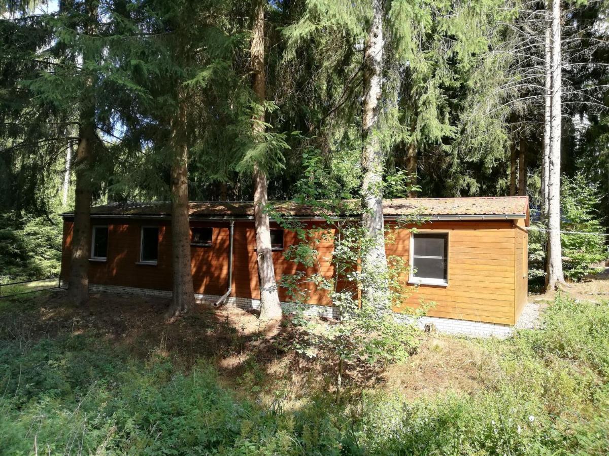 Beautiful Holiday Home With Covered Veranda Friedrichroda Dış mekan fotoğraf